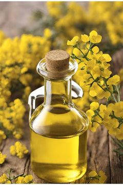 Mustard Oil