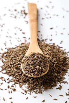 Fennel